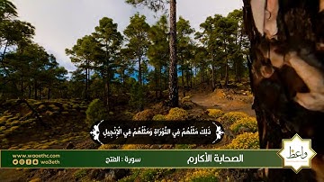 محمد رسول الله والذين معه اشدا على الكفار | القارئ / ماهر المعيقلي |16