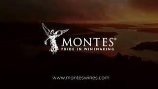 Montes Wines
