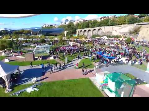 თბილისობა რიყის კადრები ჰაერიდან