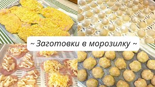 Заготовки в морозилку на месяц из мяса и птицы 🍗🥩 // Завтраки - обеды - ужины 🥞🍲🥘