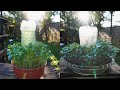 The easiest way to grow your own food