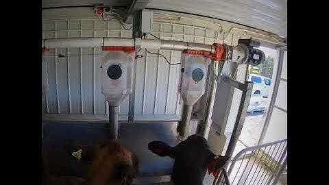 Old Style PPP Herringbone Feed System