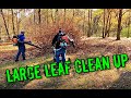 Start to finish Leaf removal - leaf removal tips for beginners - leaf removal start up