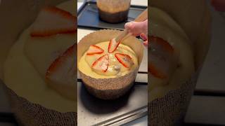 A complete 10 day Pasta Madre guide from scratch to Panettone ready