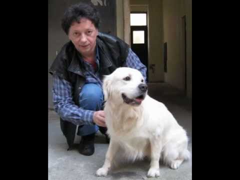 Boris Bizetić-Moj pas je moj drug-2010.