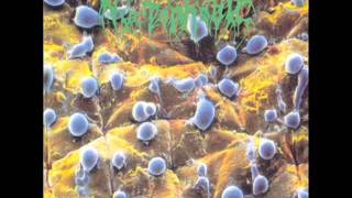 Nyctophobic - Sterility