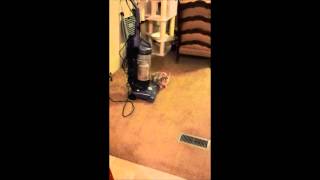 Sss Ss 2014 Xmas Gifts Movie