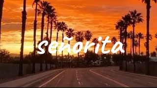 Shawn Mendes,Camila Cabello - Señorita [lyrics] | Moonlight Music