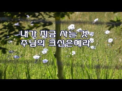 더욱 크신 은혜라/내가 지금 사는 것 (박수영로뎀나무.broom tree)