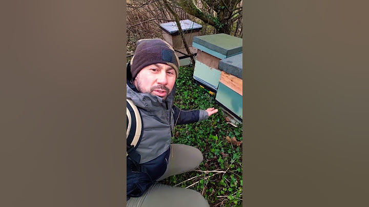 ЗАКИНУТІ #ВУЛИКИ Є БДЖОЛИ В ОДНОМУ З ВУЛИКІВ 🐝🐝🐝🙏