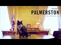 Palmerston | What They Did Next