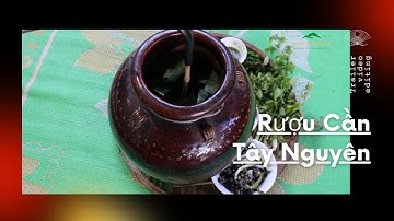 Trailer Video Rượu Cần Tây Nguyên và 3 món ốc siêu ngon