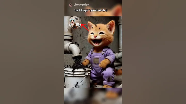 Watch the video about The calico cat was bullied by the orange cat #comedy #cat #catlovers #cutecat #funny #pets