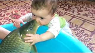 Fish Crush Of Baby So Sweet 