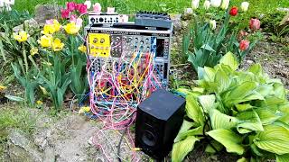 Modular VS Birds