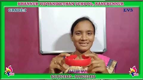 Grade I - EVS - Lesson 4 - Clean, Fit and Healthy - Part 1 - 25-08-2020