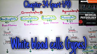 White blood cells (WBC) types chapter 34 (part 1) Guyton and Hall text book of physiology.