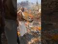 दादाजी गंगा किनारे अस्थीय को गंगा नदी में डालते हुए 🙏 #shortvideo #manikarnikaghat