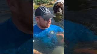Daring Adventures: Mad Dogs and Englishmen Conquer the Fish Pond by The Pond Advisor 850 views 8 months ago 1 minute, 1 second
