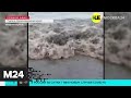 Возле пляжей в Туапсе разлились нефтепродукты - Москва 24