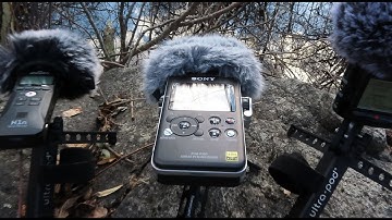 Zoom H1N vs Zoom H2N vs Sony PCM-D100 Audio recorders