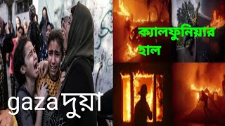 গজর দয কবল হযগছ 2025Californiahot Boudi Saree Blouse Bloghot Gosolho Video Vabir গসল