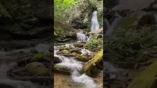 Beautiful relaxing music #relaxing #nature #soothing #viral #viralvideo #calm #music #shorts #short