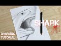 How to draw a SHARK / Shark drawing tutorial