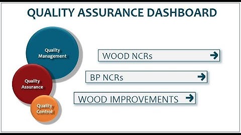 Quality Assurance (QA) Report in Power BI
