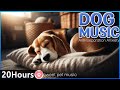 Musique apaisante pour chiensmusique antisparation pour soulager lanxitsommeil des chiens