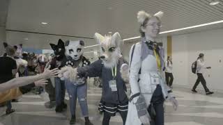 Further Confusion San Jose 2024 Fursuit Parade LIVE