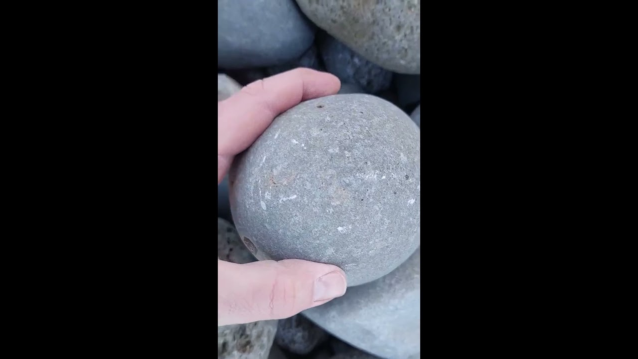 How Do I Know There S A Fossil In Rock Short
