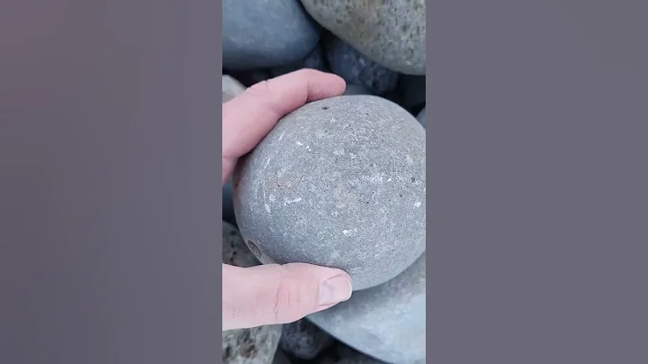 How do I know there's a fossil in a rock 🦀 #short #fossil - DayDayNews