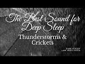 ⛈️🌧⛈️The Best Sounds for Deep Sleep - Thunderstorms | Crickets ⛈️⛈️🌧🦗