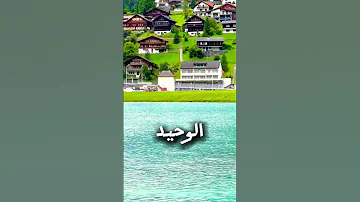 اجمل كلمات تحفيزيه و تطوير الذات تحفيز للعمل و الانتاجيه تحفيز العقل 