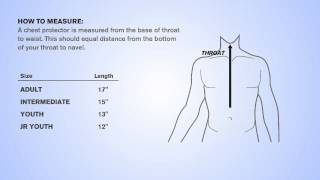 Baseball Catcher S Gear Sizing Chart