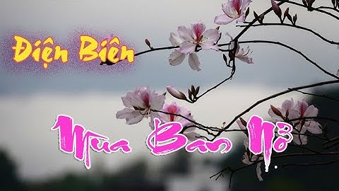 ĐIỆN BIÊN - KHÁM PHÁ ĐIỆN BIÊN: ĐIỆN BIÊN MÙA BAN NỞ