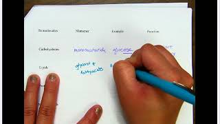 Biomolecules Test Review