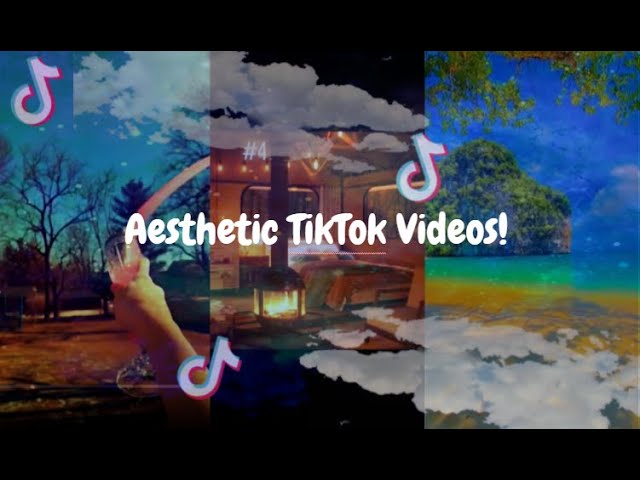 Aesthetic TikTok videos! class=