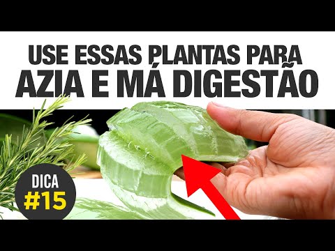 Vídeo: Remédios Caseiros Para Indigestão: Maneiras Naturais De Tratar Em Casa