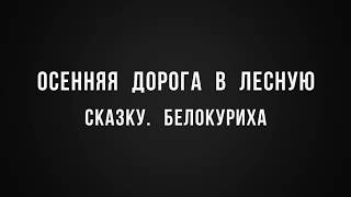 Осенняя дорога в Лесную Сказку  Белокуриха