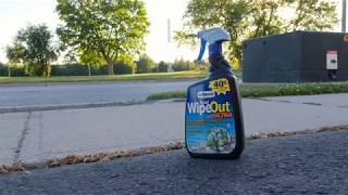 IT WORKS! - Wilson&#39;s Total WipeOut Ultra Weed &amp; Grass Killer