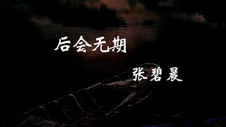 张碧晨 - 后会无期 『在每个繁星抛弃银河的夜里  我会告别 告别我自己  因为我不知道 我也不想知道  和相聚之间的距离』【动态歌词Lyrics】