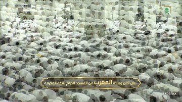 صلاة المغرب|للشيخ فيصل غزاوي 17 رمضان 1444هـ|فواتح سورة المؤمنون 1 - 16