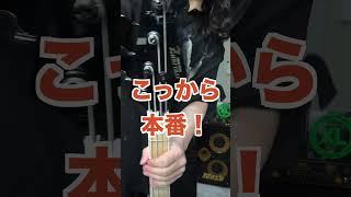 持ってるベース全て紹介！ 【ムツミ】Mutsumi