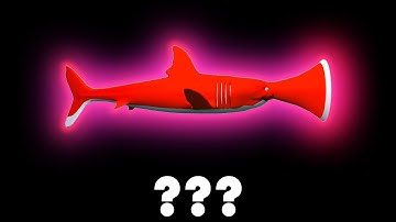 12 Baby Shark "Air Horn" Sound Variations in 50 Seconds