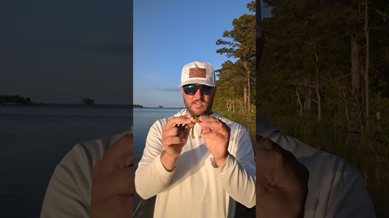 How I Modify and fish my frogs on SANTEE COOPER BASS fishing !