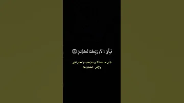 الجزء 2 سورة الرحمن سعود الفايز Quran Quranrecitation 