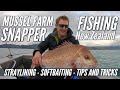 Mussel Farm Snapper Fishing New Zealand - Straylining, Softbaiting, Tips and Tricks