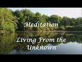 Meditations living from the unknown  mukesh gupta  france